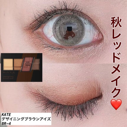デザイニングブラウンアイズ BR-4 レッドブラウン/KATE/アイシャドウパレットを使ったクチコミ(1枚目)