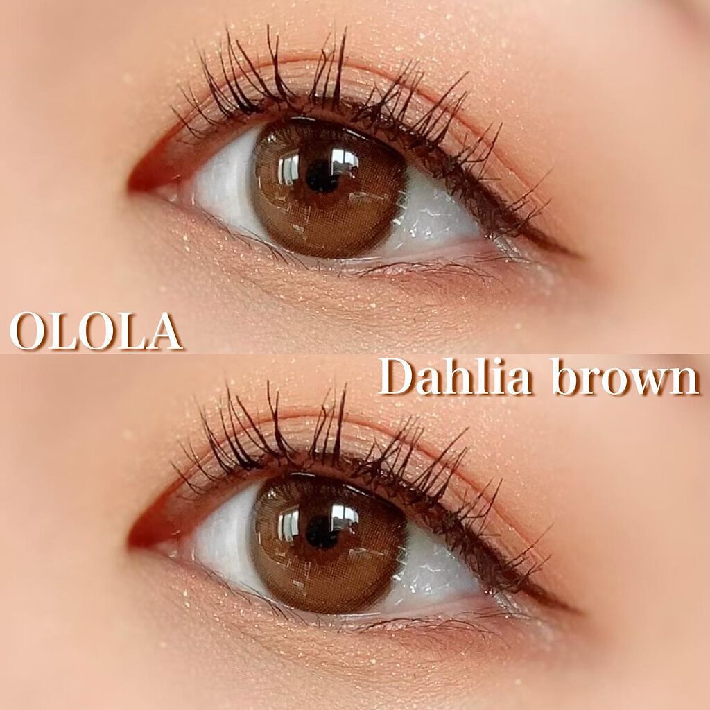 ダリアブラウンマンスリー (DAHLIA BROWN monthly)/OLOLA/１ヶ月（１MONTH）カラコンを使ったクチコミ（1枚目）