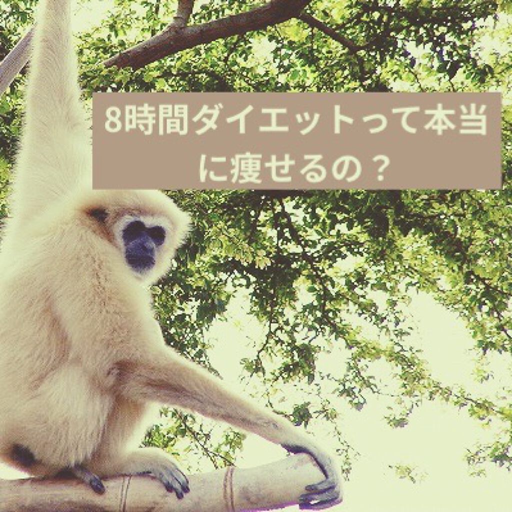 寝ながらメディキュット フルレッグ/メディキュット/着圧ソックス・レギンスを使ったクチコミ（1枚目）