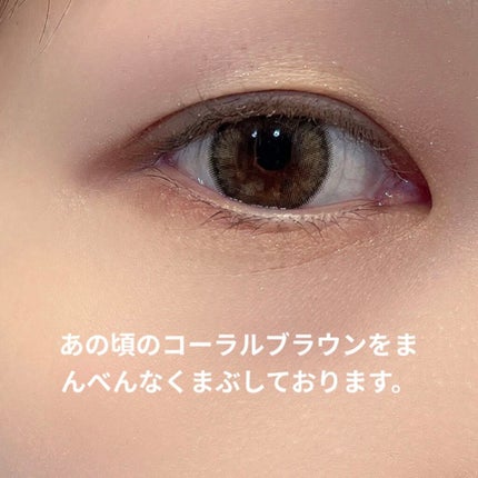 THE アイパレR/b idol/アイシャドウパレットを使ったクチコミ(5枚目)