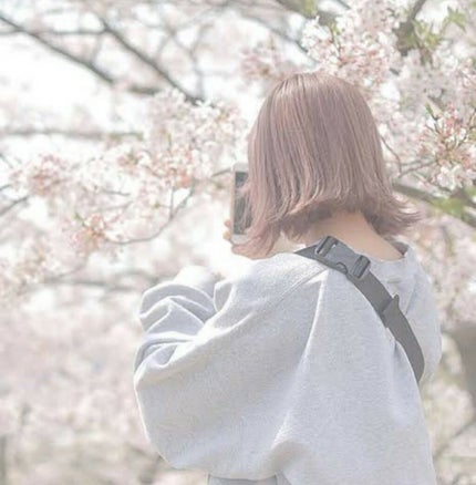 オイルトリートメント #EXヘアオイル/ルシードエル/ヘアオイルを使ったクチコミ(1枚目)