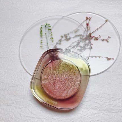 シルクシリーズ シルクハイライト/Joocyee/パウダーハイライトを使ったクチコミ(1枚目)