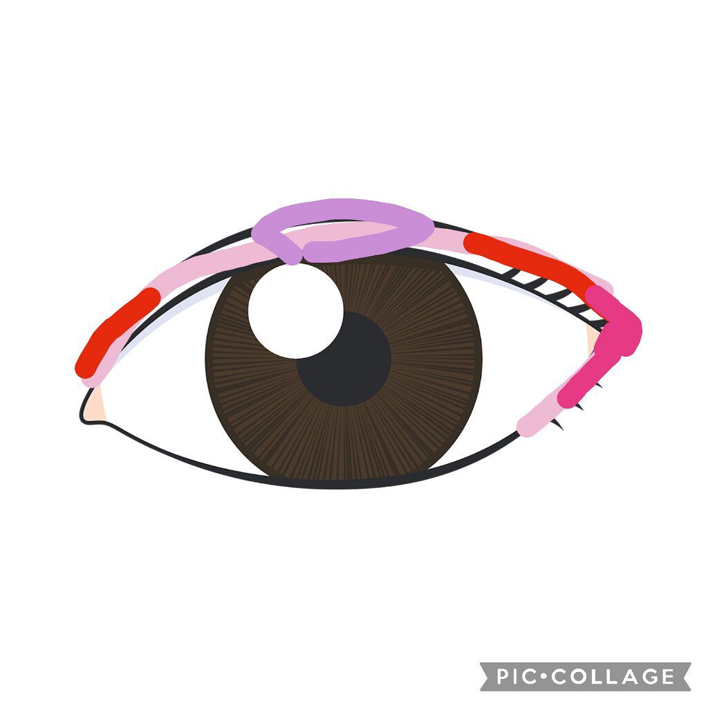 エアリーステイ オイルブロッカー/FASIO/化粧下地を使ったクチコミ（2枚目）