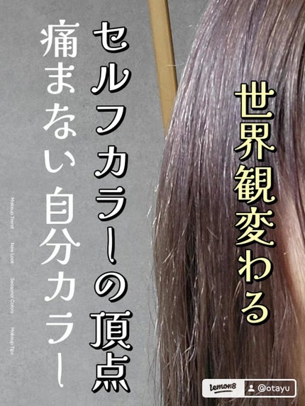 カラーシャンプー/KYOGOKU/サロンシャンプーを使ったクチコミ(1枚目)