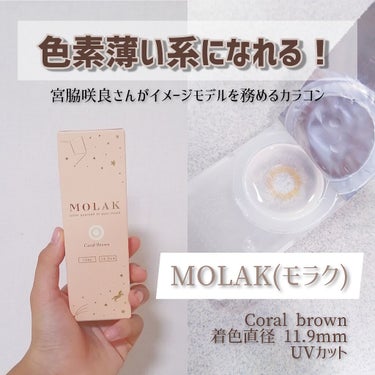 MOLAK 1day/MOLAK/ワンデー（１DAY）カラコンを使ったクチコミ（1枚目）