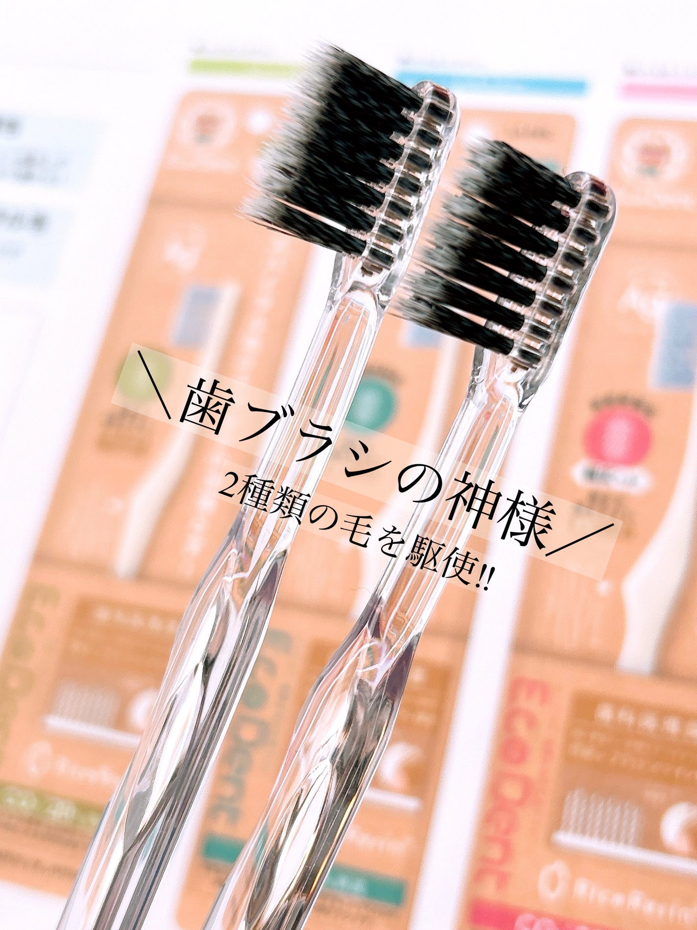 6mi_ on LIPS 「\はみがきの神様/のご紹介🦷🪥コエタスのモニターキャンペーンで..」(1枚目)