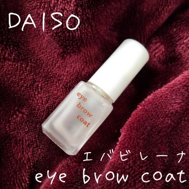 エバビレーナ アイブローコート/DAISO/アイブロウコートを使ったクチコミ（1枚目）