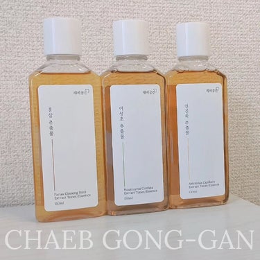 スキンケアトナー/CHAEB GONGGAN/化粧水を使ったクチコミ（1枚目）