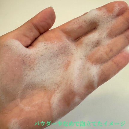 グリーンティー&エンザイムパウダーウォッシュ/By Wishtrend/洗顔パウダーを使ったクチコミ(4枚目)