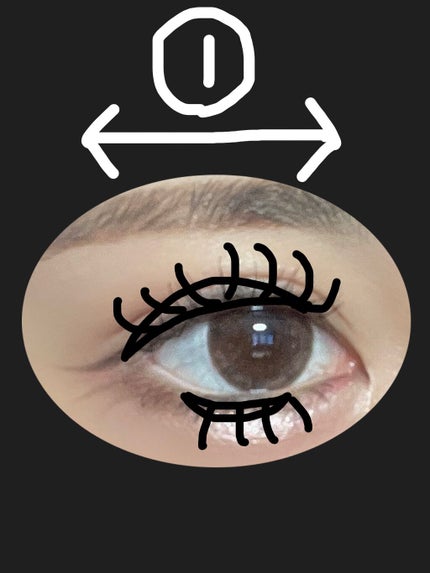 ブルベかもしれないイエベちゃん on LIPS 「良く見るこの矢印‼️この錯覚をメイクに応用出来るんです😍‼️(..」(2枚目)