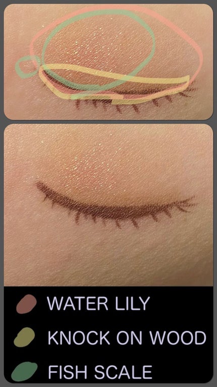 ãšã¯ã¹ãããŒã©12è² åç©ã¢ã€ã·ã£ããŠãã¬ãã/PERFECT DIARY/ã¢ã€ã·ã£ããŠãã¬ããã䜿ã£ãã¯ãã³ãïŒ10æç®ïŒ