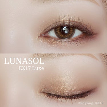 アイカラーレーション EX17 Luxe（限定発売）/LUNASOL/アイシャドウパレットを使ったクチコミ（2枚目）