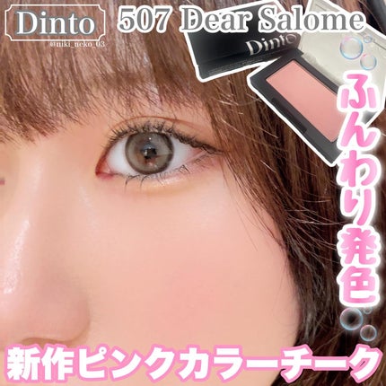 ブラーフィニシュブラッシャー/Dinto/パウダーチークを使ったクチコミ(1枚目)