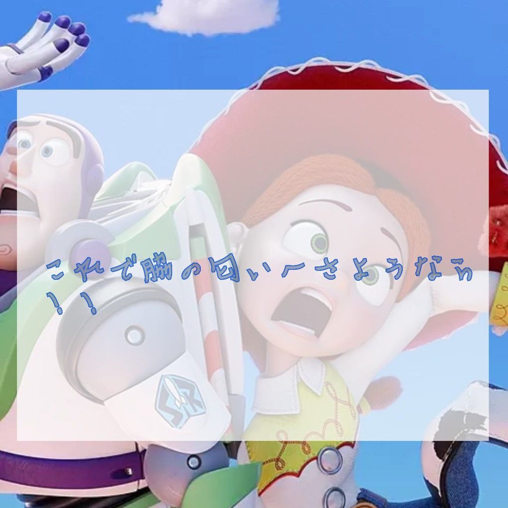 ソフトストーンＷ/デオナチュレ/デオドラント・制汗剤を使ったクチコミ（1枚目）