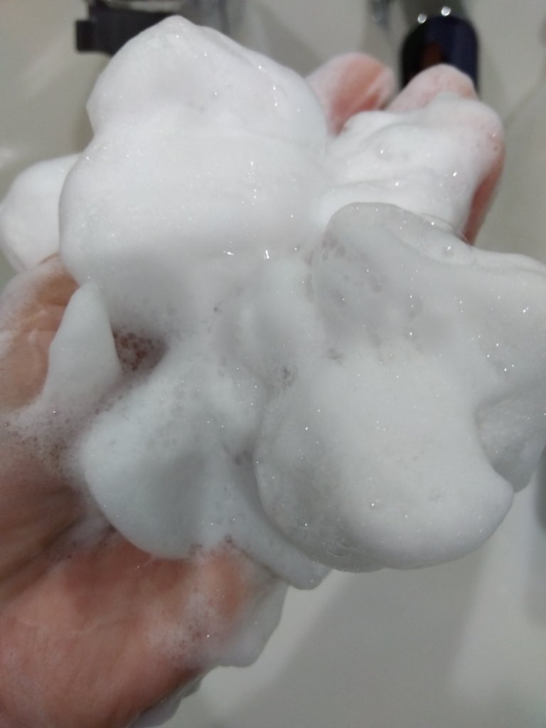 リサージ クリーミィソープa/リサージ/洗顔フォームを使ったクチコミ（3枚目）
