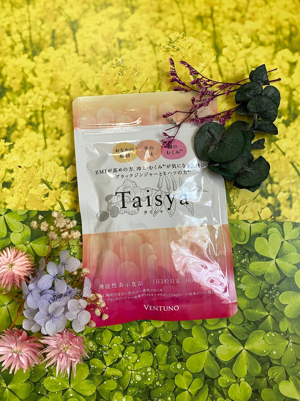 Taisya タイシャ/ヴェントゥーノ/健康サプリメントを使ったクチコミ(1枚目)