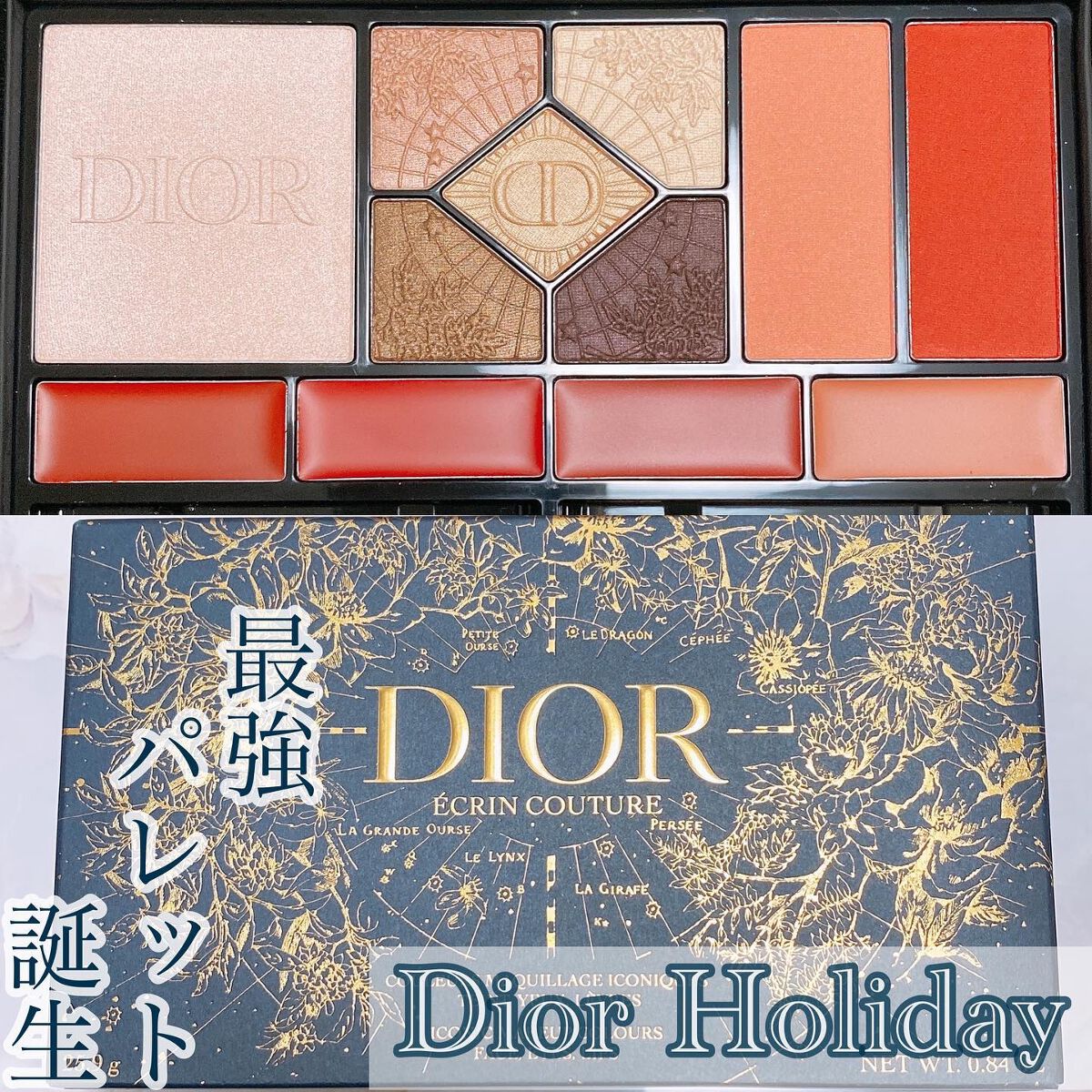 DIOR エクランクチュールマルチユースパレット inkpothub.com