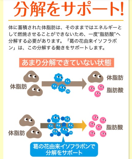シボヘール/ハーブ健康本舗/健康サプリメントを使ったクチコミ(4枚目)