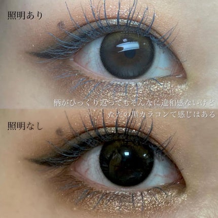 カモアイシャドーパレット/shu uemura/アイシャドウパレットを使ったクチコミ(8枚目)