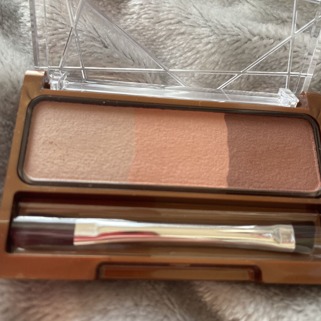 ノーズ＆アイブロウパウダー/CEZANNE/パウダーアイブロウを使ったクチコミ（2枚目）