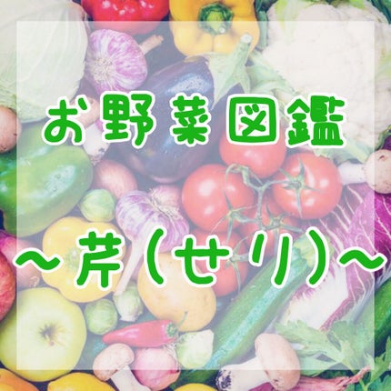 ã䜿ã£ãã¯ãã³ãïŒ1æç®ïŒ