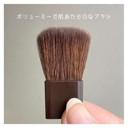 パールグロウニュアンサー/CEZANNE/パウダーハイライトを使ったクチコミ(6枚目)