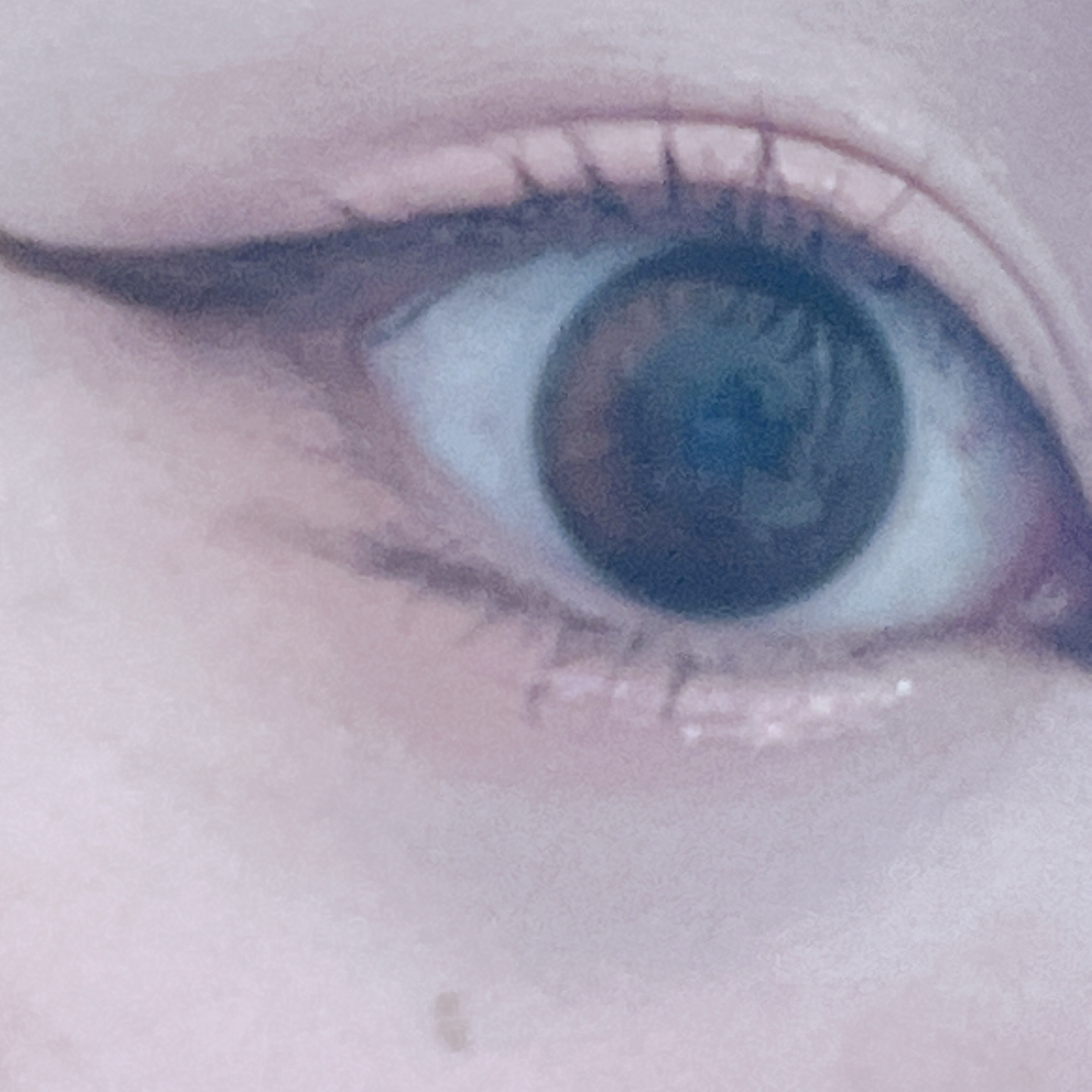 HARNE 1day/HARNE/ワンデー（１DAY）カラコンを使ったクチコミ（1枚目）