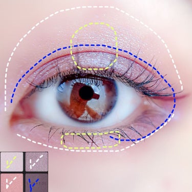 アイカラーレーション/LUNASOL/アイシャドウパレットを使ったクチコミ（2枚目）