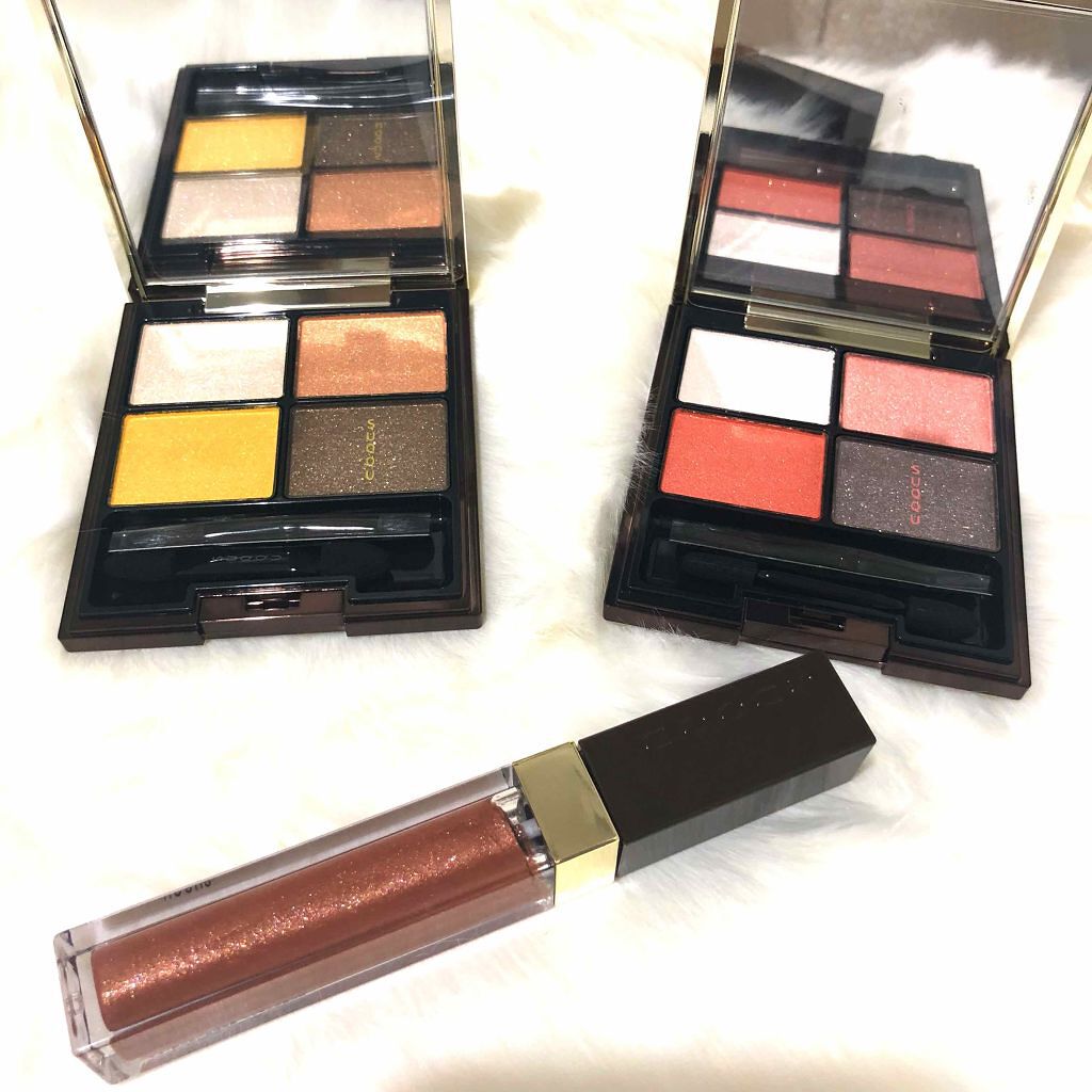 フロウレス リップ グロス/SUQQU/リップグロスを使ったクチコミ（1枚目）