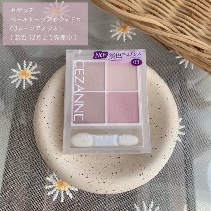 ペールトーンアイシャドウ/CEZANNE/アイシャドウを使ったクチコミ(2枚目)