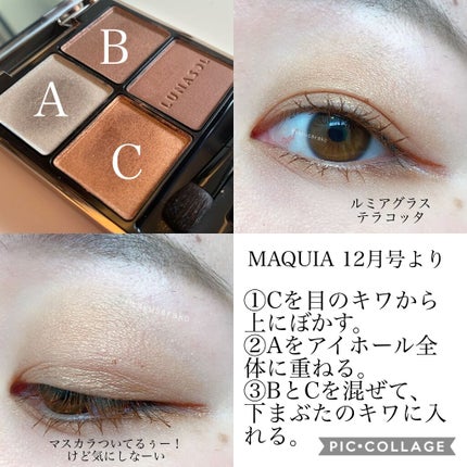 アイカラーレーション/LUNASOL/アイシャドウパレットを使ったクチコミ(2枚目)