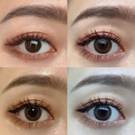 ネオサイトワンデー シエルUV シエルグレージュ/Aire/ワンデー(1DAY)カラコンの画像