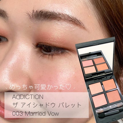 アディクション ザ アイシャドウ パレット/ADDICTION/アイシャドウパレットを使ったクチコミ(1枚目)