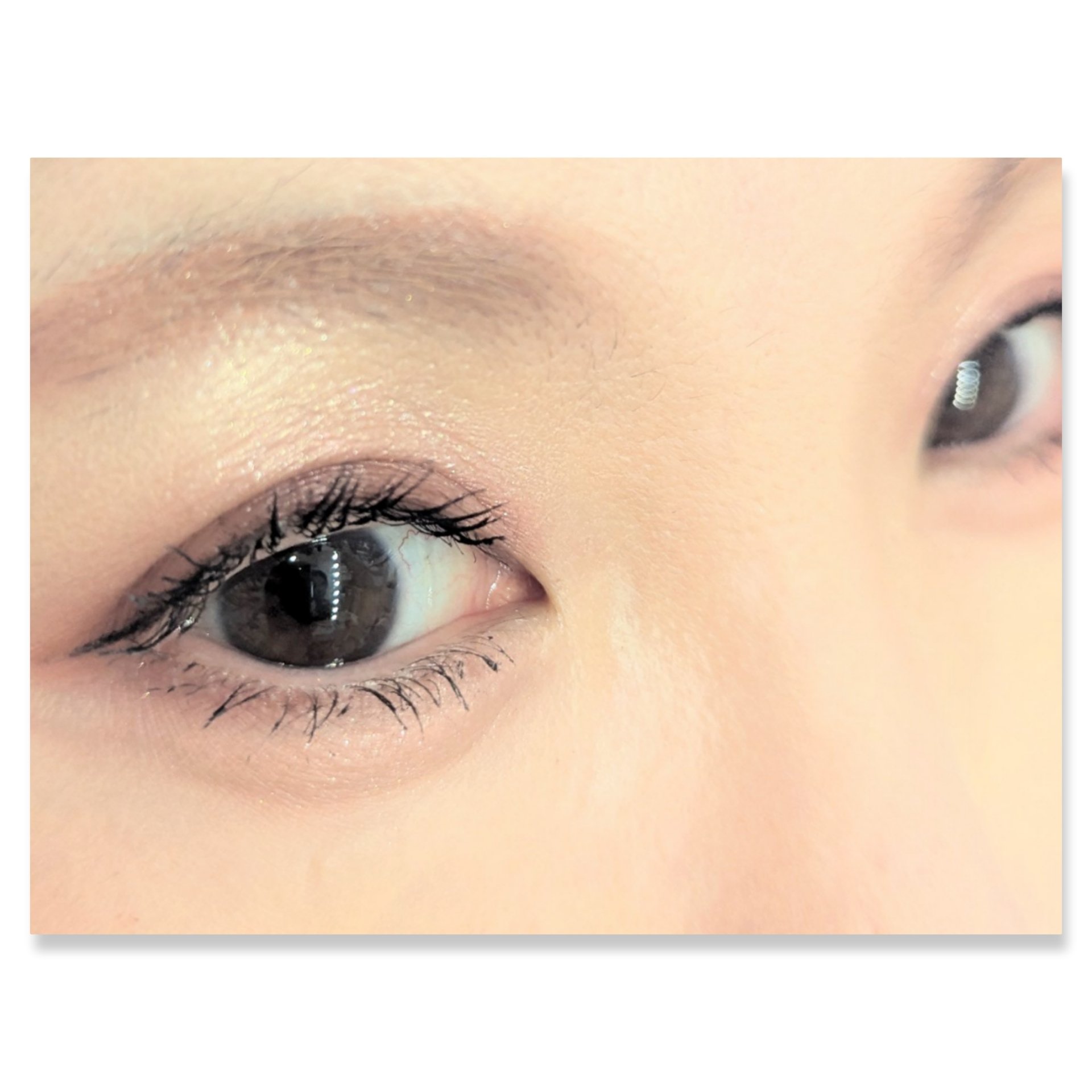 ロイヤルヴィンテージ アイズ/リンメル ロンドン/アイシャドウパレットを使ったクチコミ（2枚目）