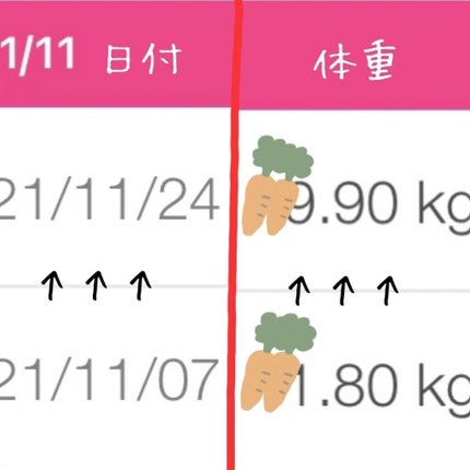 ピンク丸剤/ミオル韓医院/ボディサプリメントを使ったクチコミ(3枚目)