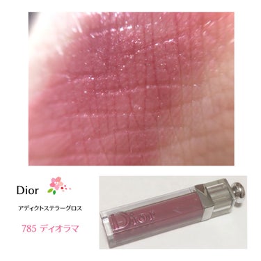 【旧】ディオール アディクト ステラー グロス/Dior/リップグロスを使ったクチコミ（1枚目）
