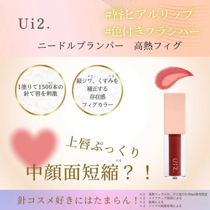 ニードルプランパー 高熱フィグ/Ui2./リッププランパーを使ったクチコミ(2枚目)