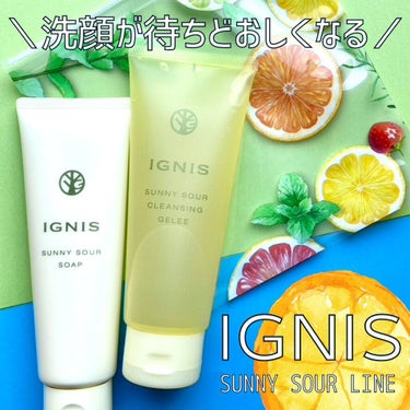 サニーサワー ソープ/IGNIS/洗顔フォームを使ったクチコミ（1枚目）