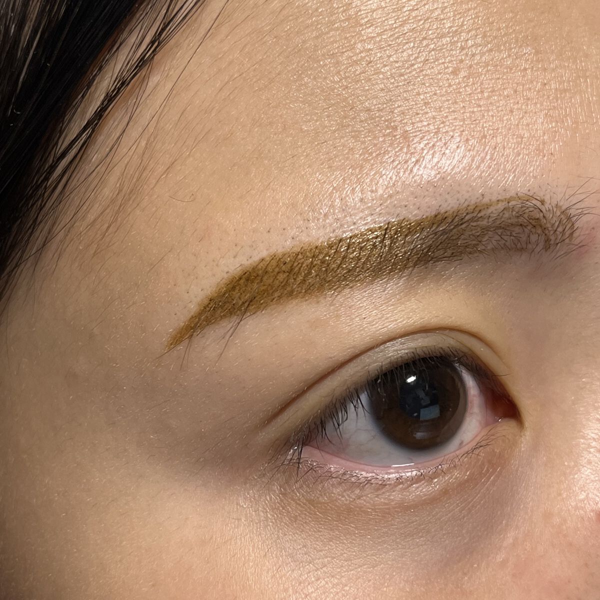 書き足し眉ティントSV  01 ナチュラルブラウン/Fujiko/眉ティントを使ったクチコミ（3枚目）