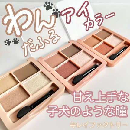 わんだふるアイカラー/KIREI FACTORY/アイシャドウパレットを使ったクチコミ(1枚目)