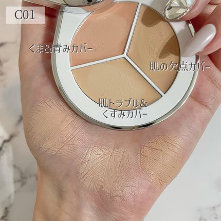 パーフェクトカバー コンシーラーパレット C01/Dear.A/パレットコンシーラーの画像