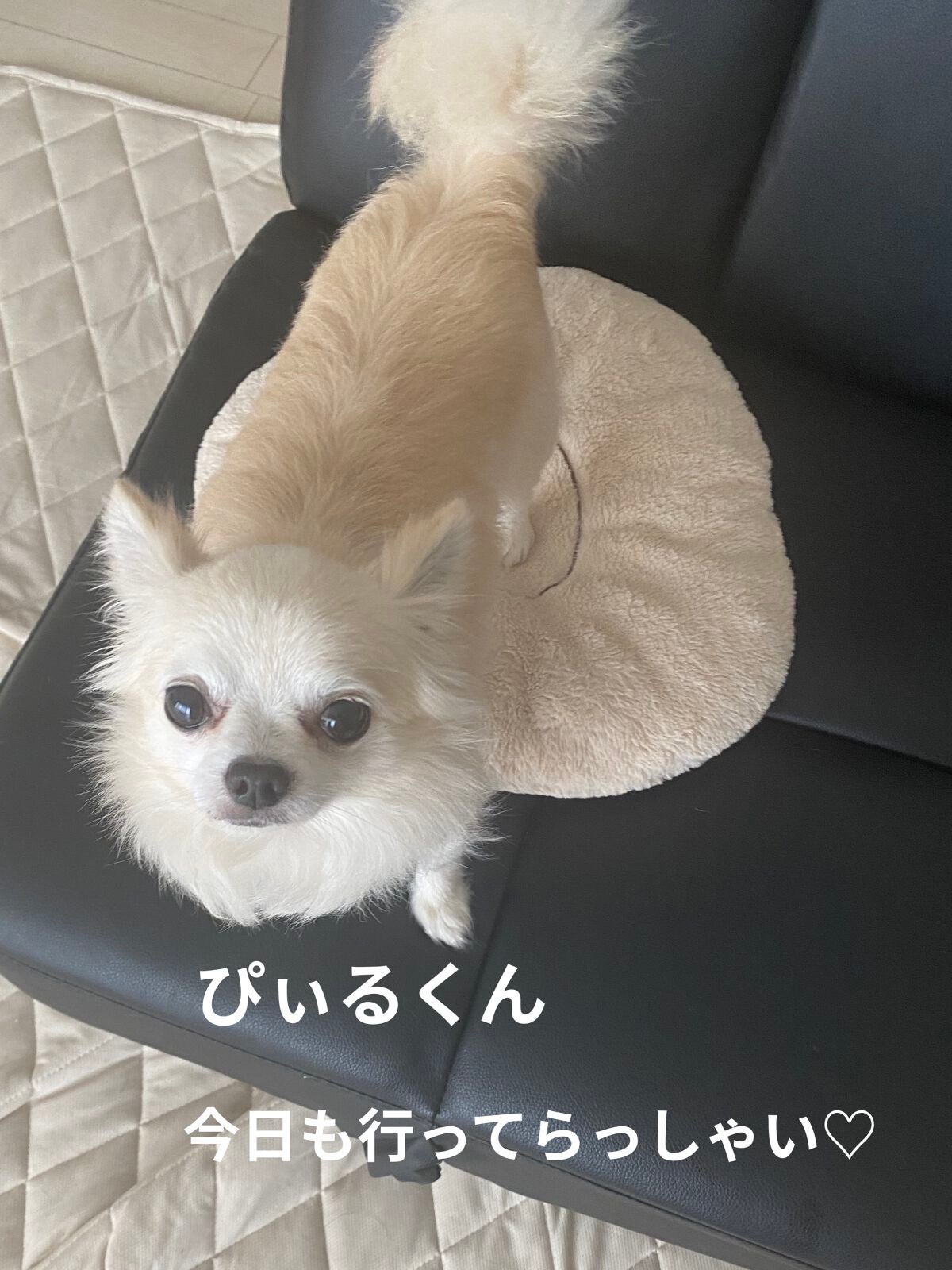 フェイブスボックス/FAVES BEAUTY/メイクアップキットを使ったクチコミ(8枚目)