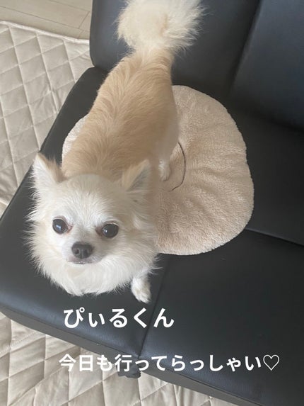 フェイブスボックス/FAVES BEAUTY/メイクアップキットを使ったクチコミ(8枚目)