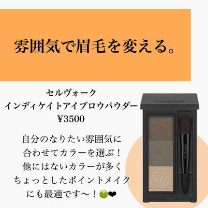 クリエイティブ アイブロウ エレメンツ/IPSA/リキッドアイブロウを使ったクチコミ(2枚目)