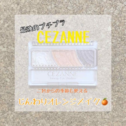 トーンアップアイシャドウ/CEZANNE/アイシャドウパレットを使ったクチコミ(1枚目)