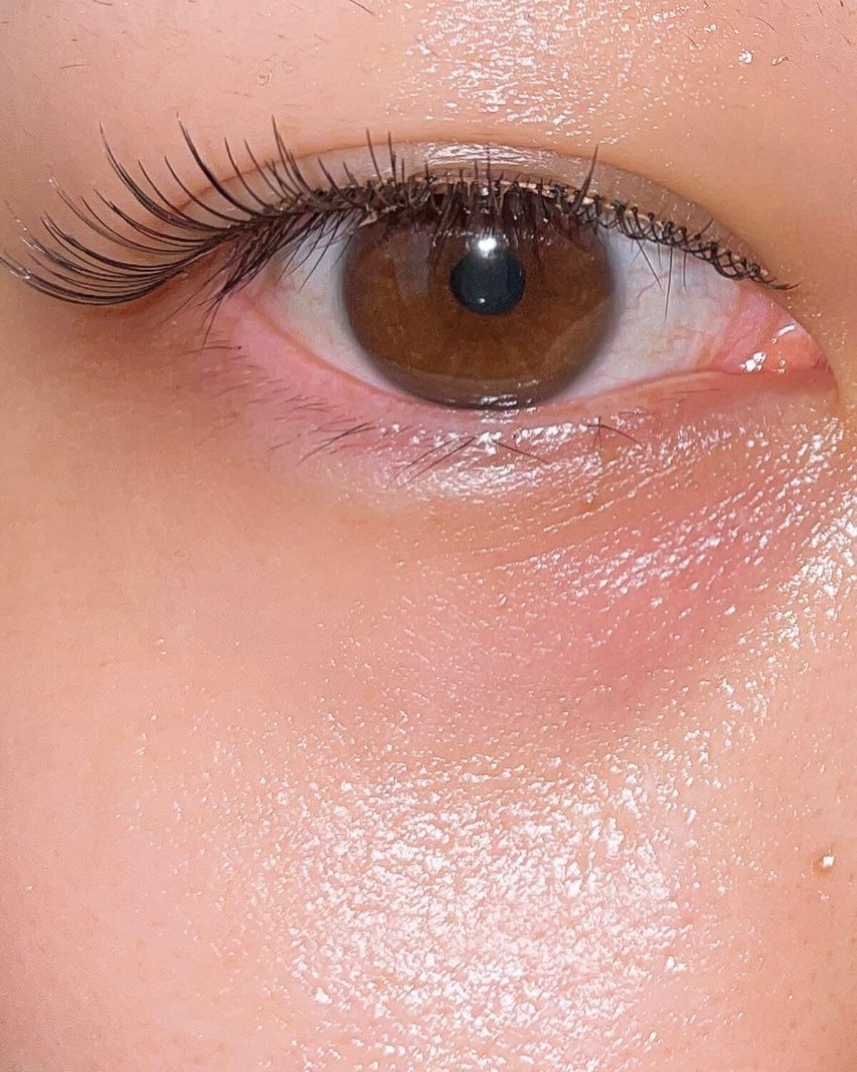 ミッシュブルーミン 3Dアイラッシュライン/ミッシュブルーミン/つけまつげを使ったクチコミ(5枚目)