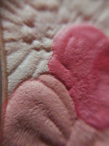 グロウフルールチークス/キャンメイク/パウダーチークを使ったクチコミ(3枚目)