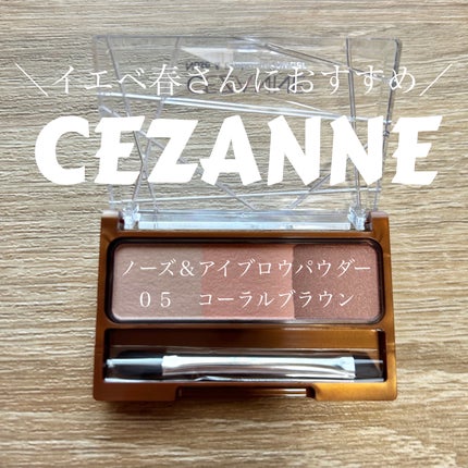 ノーズ&アイブロウパウダー/CEZANNE/パウダーアイブロウを使ったクチコミ(1枚目)