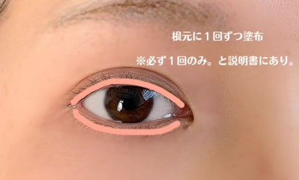 EMAKED(エマーキット)/水橋保寿堂製薬/まつげ美容液を使ったクチコミ(3枚目)