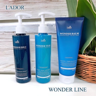 WONDER BALM/La'dor/洗い流すヘアトリートメントを使ったクチコミ（1枚目）